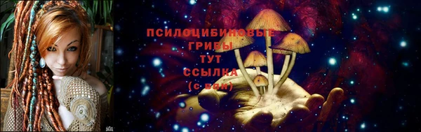 ALPHA-PVP Аркадак