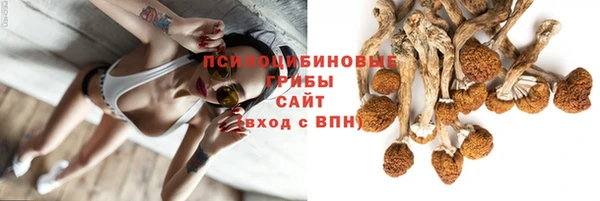 ALPHA-PVP Аркадак
