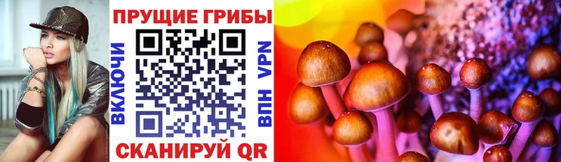 сайты даркнета Telegram  Изобильный  Галлюциногенные грибы MAGIC MUSHROOMS  мега как зайти 