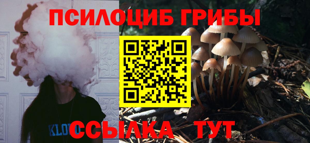 Галлюциногенные грибы прущие грибы Изобильный