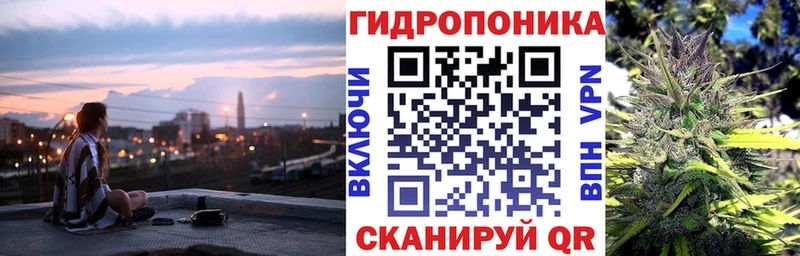 Конопля конопля купить наркотики сайты Изобильный